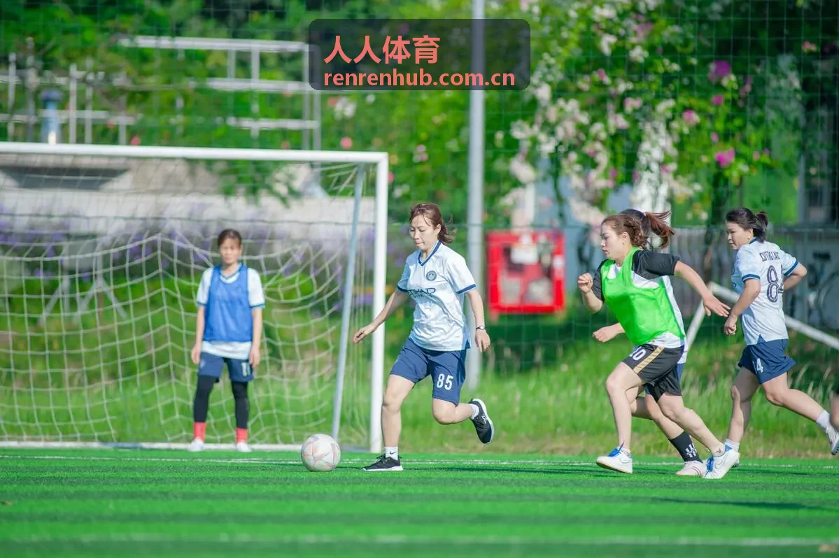 人人体育CBA新闻 - 辽宁飞豹冲击三连冠